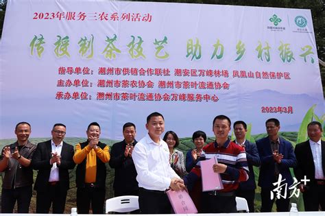 潮州市茶叶流通协会万峰服务中心成立，首日促成茶叶交易量近5000斤_房产资讯_房天下