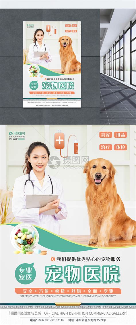 宠物医院商店海报模板素材-正版图片401607418-摄图网