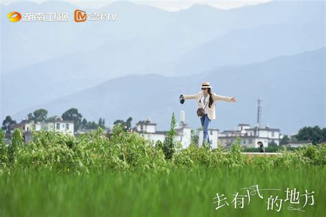 许红豆图片