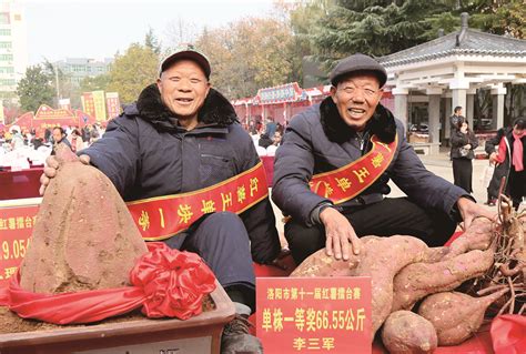 红薯什么时候传入我们中国种植的（已帮助5252人） - 驰阳薯业