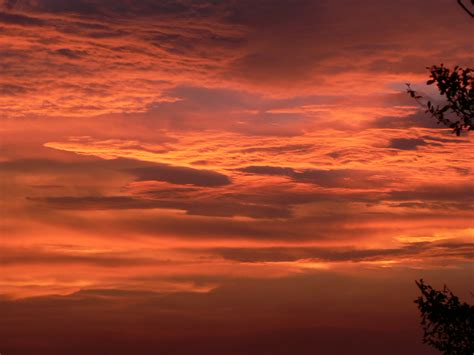 美爆了！四川南充天空“燃”起火烧云 蔚为壮观-天气图集-中国天气网