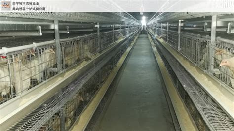 嵊州这个5000多平养鸡场用上了全自动鸡舍，每个鸡舍可节省...-嵊州生活网
