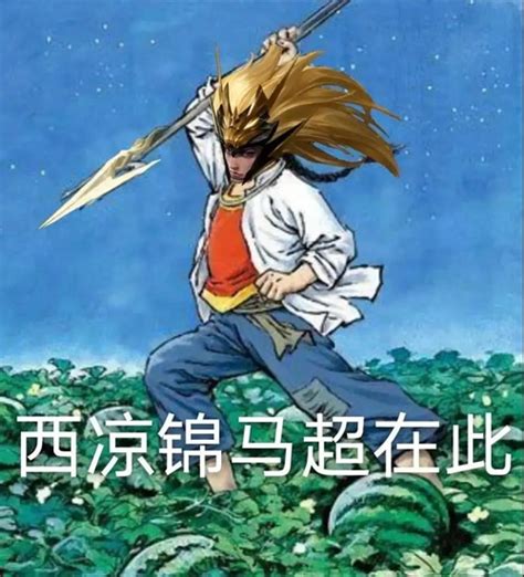 刺猹表情包图片