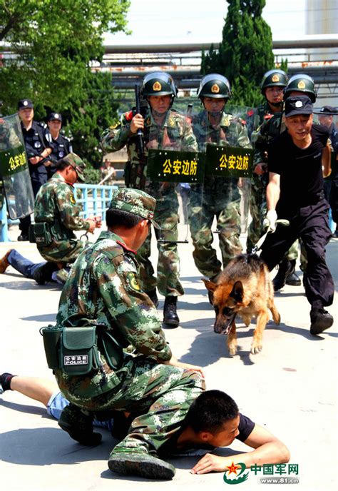 广西来宾：武警特战队员开展反恐实战演练|暴恐分子|居民楼|武警_新浪新闻