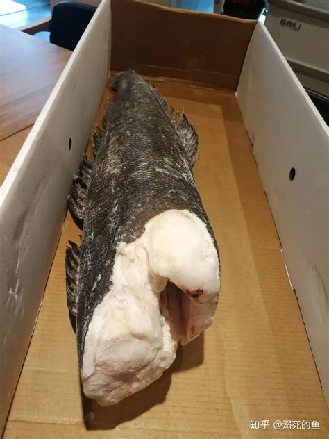 深海鱼测评之（5）——法国银鳕鱼的完美国产平替|鳕鱼|法国|鱼_新浪新闻