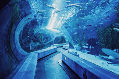 2024国家海洋博物馆游玩攻略,远古海洋展厅里充满了奇幻色...【去哪儿攻略】