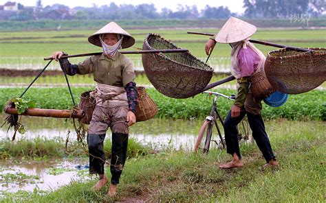 越南农村打扮,美乡村摄影,中农村摄影_大山谷图库