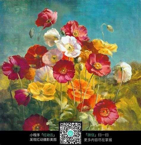 油画花卉图片
