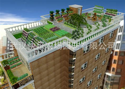 在家体验田园生活！“广州城市小菜园”工程启动|广州|工程_新浪新闻