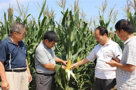 全省农技推广系统培训交流会在肃州区召开 @ 甘肃三农在线