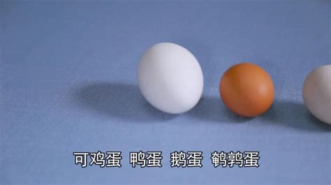 鸡蛋、鸭蛋、鹅蛋、鹌鹑蛋…各种各样的蛋，营养哪个更高呢？_腾讯视频