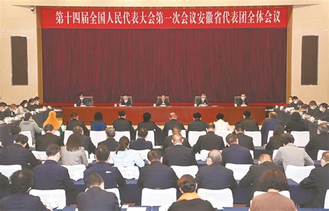 十四届全国人大一次会议安徽代表团举行全体会议 - 西部网（陕西新闻网）