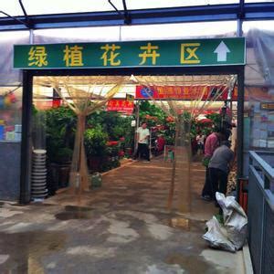 杭州城西花鸟市场月底即将拆迁 周末可以趁着清仓去“扫货”-杭州新闻中心-杭州网