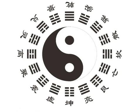 实木盅 + 6个铜钱 + 易经64卦解卦册 | Yin Wu Fang