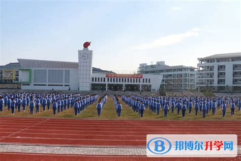 南阳私立高中学校有哪些(2024）