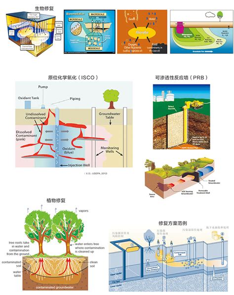 中国绿发会国际部召开2022年全球环境治理能力建设工作坊（第十期）- 中国生物多样性保护与绿色发展基金会