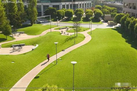 草坪在景观设计中的重要性-绿宝园林网