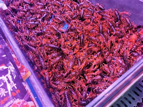 又到“龙虾季”，来看看九江市场上的龙虾行情