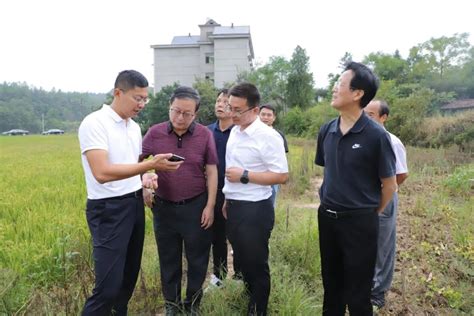 省农业农村厅副厅长王俊忠莅温调研小麦种子产业发展情况！