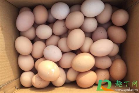 10月鸡蛋价格会下降吗-2020鸡蛋涨价什么时候恢复-趣丁网