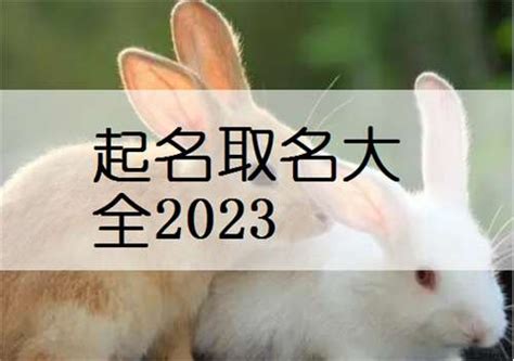 宝宝取名字查询大全2023,属兔2023年最旺男孩名字-起名网