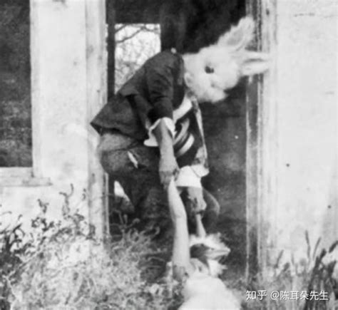 笼罩美国的兔人杀人狂， 揭秘兔子杀人狂真实事件，恐怖的都市传说