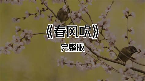 《春风吹》完整版_腾讯视频