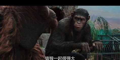 《猩球崛起4》首曝宣传图，凯撒精神永存，人类终将输给猩猩