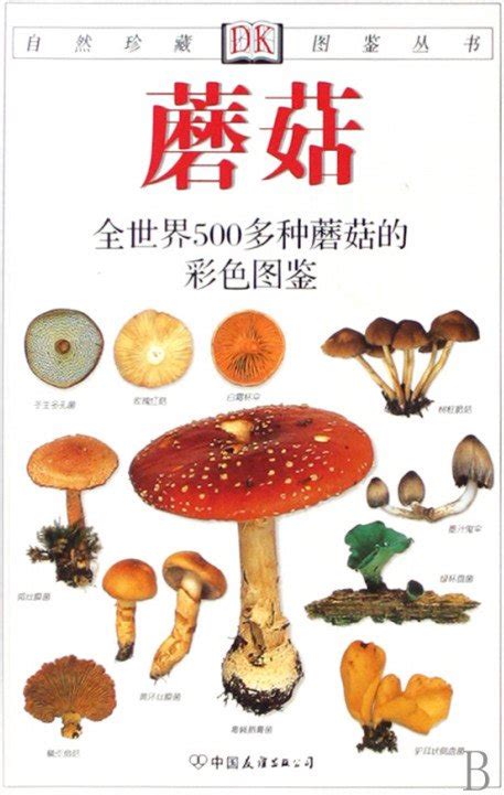 蘑菇究竟是什么,蘑菇的种类有很多
