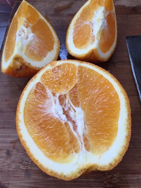 苹果橙子摆盘图片,苹果橘子摆盘图片,苹果橙子水果拼盘图片(第9页)_大山谷图库