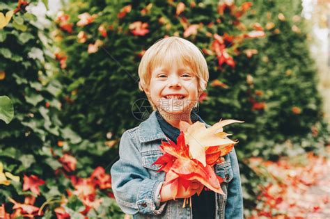 可爱的小男孩的秋天画像拿着红叶孩子享高清图片下载-正版图片507413290-摄图网