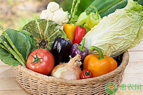 有机蔬菜是什么意思？有机蔬菜和无机蔬菜的区别 - 惠农网