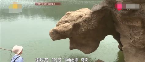 湖南:水库惊现“神龟出海”景象|大自然|水库|龟_新浪新闻