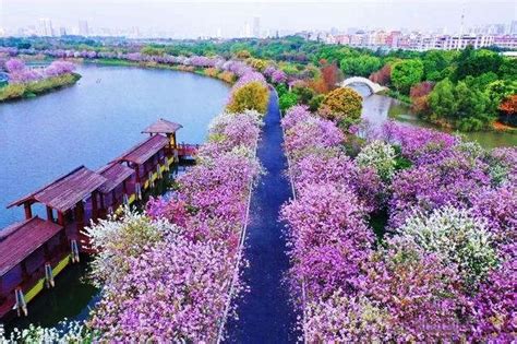 广州天河公园图片欣赏68549-U途旅游网
