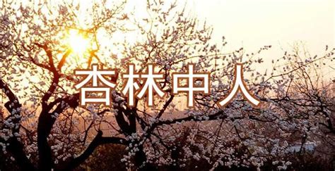 【春天里的陕西】细语杏花赏蓝田 - 西部网（陕西新闻网）