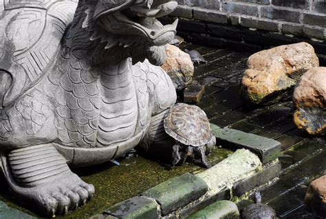 3寸千年龟(铜龟摆件) | Yin Wu Fang