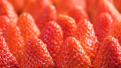 草莓新鲜水果礼盒5斤孕妇红颜奶油九九大99牛奶草莓整箱3顺丰包邮-淘宝网