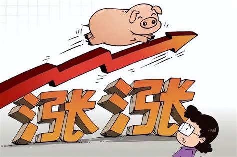 生猪市场2018年报及2019行情展望_瑞东农牧（山东）有限责任公司
