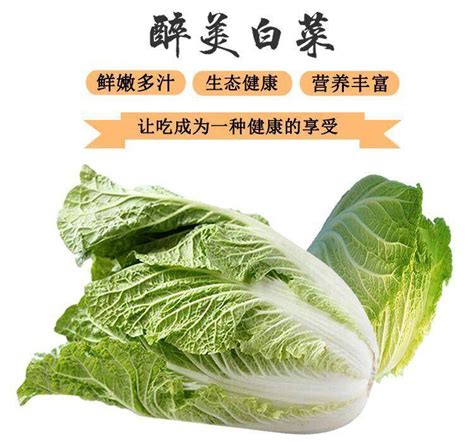 青口摄影图__其他_餐饮美食_摄影图库_昵图网nipic.com