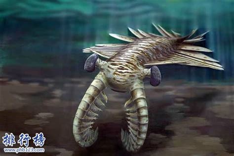 远古时期十大最凶猛的动物：旋齿鲨和棘龙双双入榜(3)_巴拉排行榜