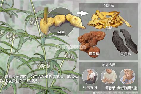 [精]-猫小七图片