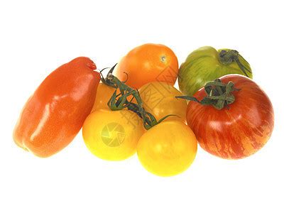 古代番茄品种高清图片下载-正版图片321666907-摄图网