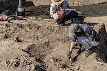 考古挖掘年轻学家从地下挖掘部分人体骨骼和头高清图片下载-正版图片306769700-摄图网
