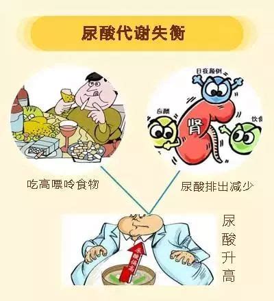 喝白酒，升尿酸！中国健康与营养调查最新分析_研究_男性_循环