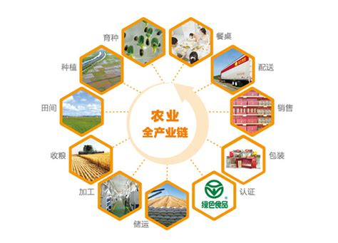新农业模式，有望替代原有的传统模式，在未来改变中国农业。_稻田艺术