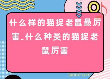 为什么有的店一开就火？10位探店博主有话说～ - 知乎