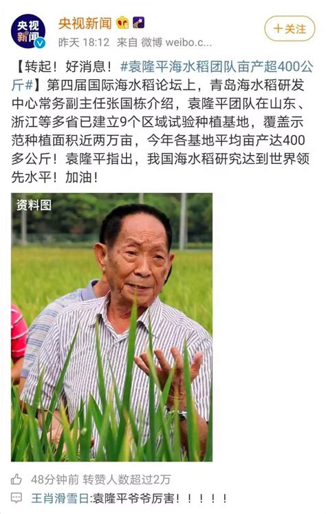 袁隆平：让中国水稻给世界惊喜-让中国人饭碗端得更稳——不断创纪录的袁隆平团队-策划
