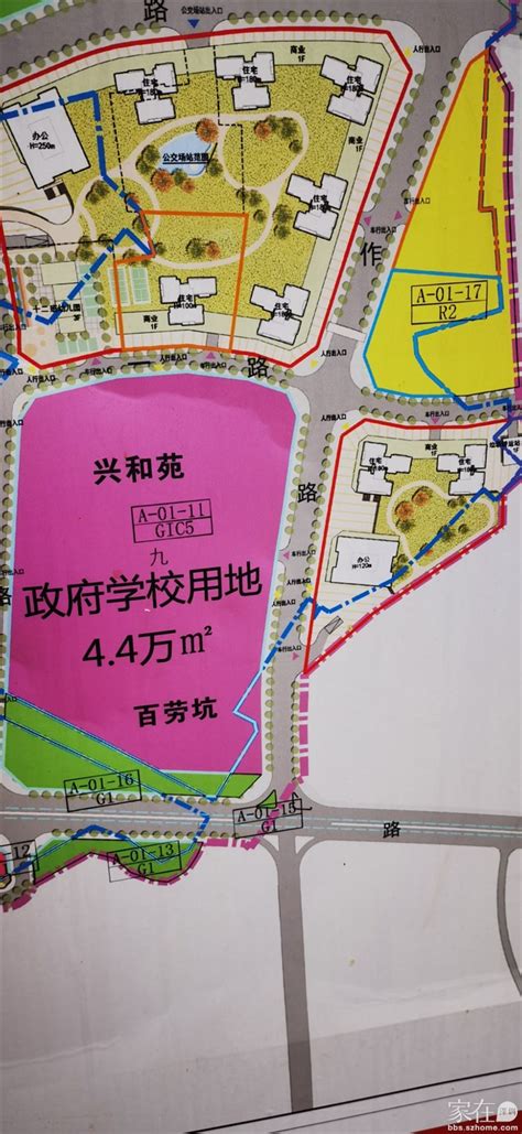 可园和木棉湾学校_家在布吉 - 家在深圳