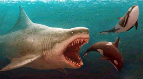 地球最强物种对决：沧龙VS巨齿鲨，谁才是进化以来最强生物？_腾讯视频