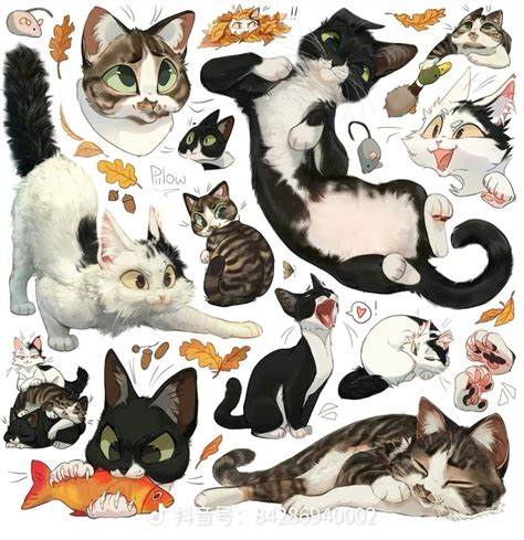 猫猫武士拟人好帅摄影师:simabssn图片
